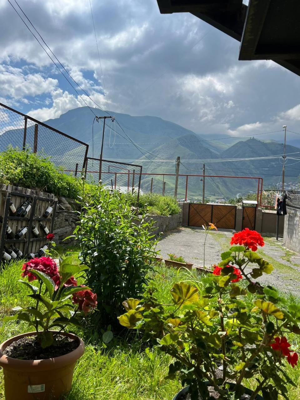 Guesthouse Relax In Kazbegi Luaran gambar