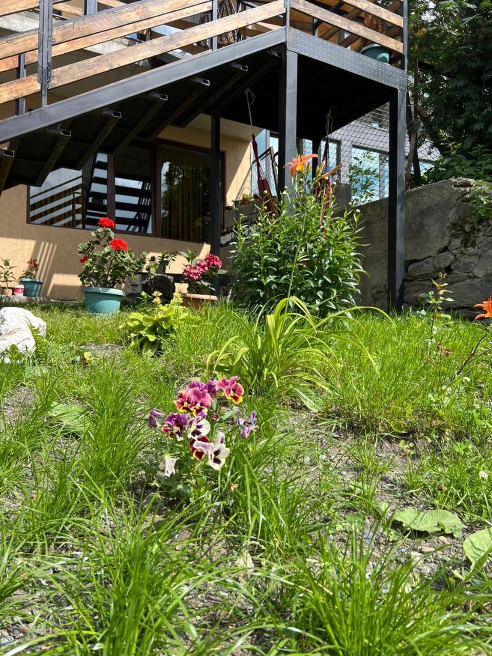 Guesthouse Relax In Kazbegi Luaran gambar